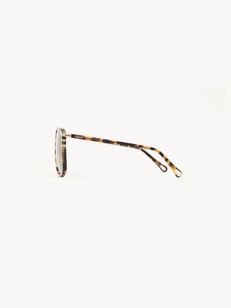 Havana Chloe West Sunglasses | CHE-SR14565