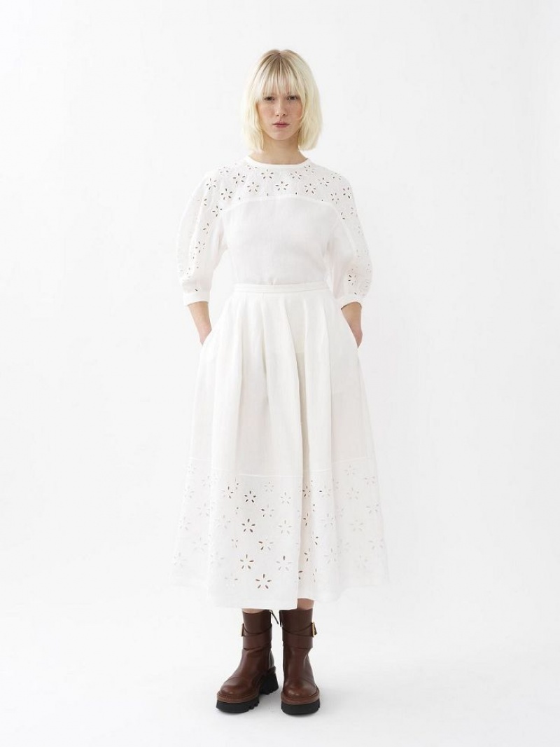 Iconic Milk Chloe Embroidered Mid-length Skirts | CHE-SR14076