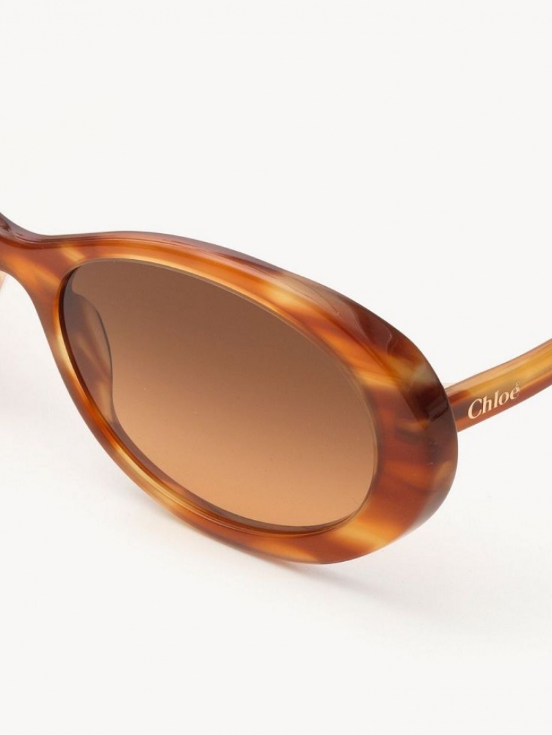 Light Havana Chloe Zelie Sunglasses | CHE-SR14554