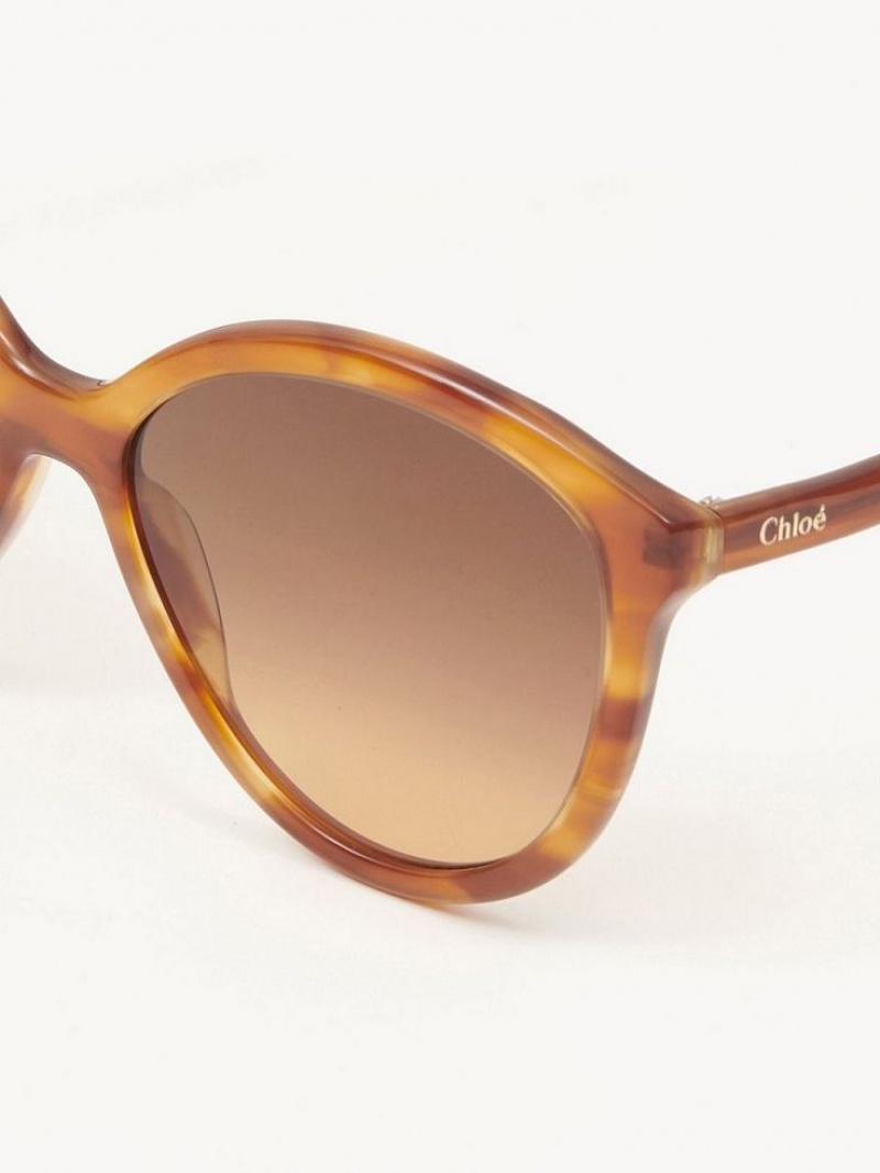 Light Havana Chloe Zelie Sunglasses | CHE-SR14558