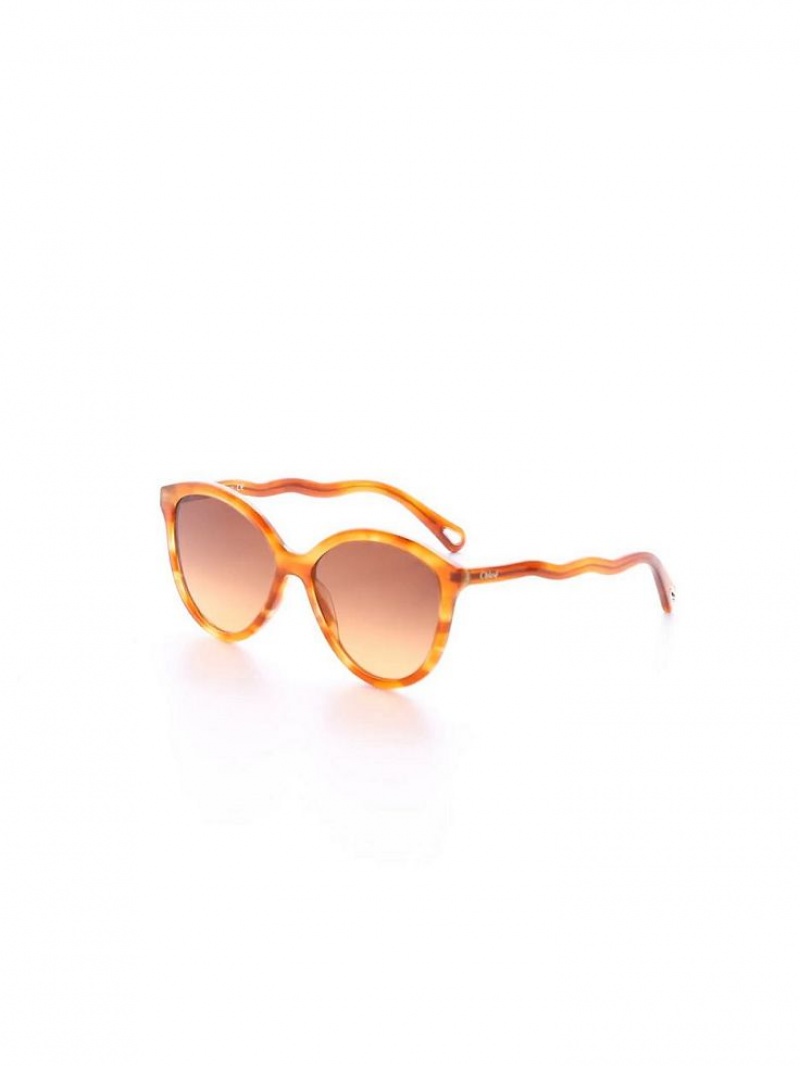 Light Havana Chloe Zelie Sunglasses | CHE-SR14558