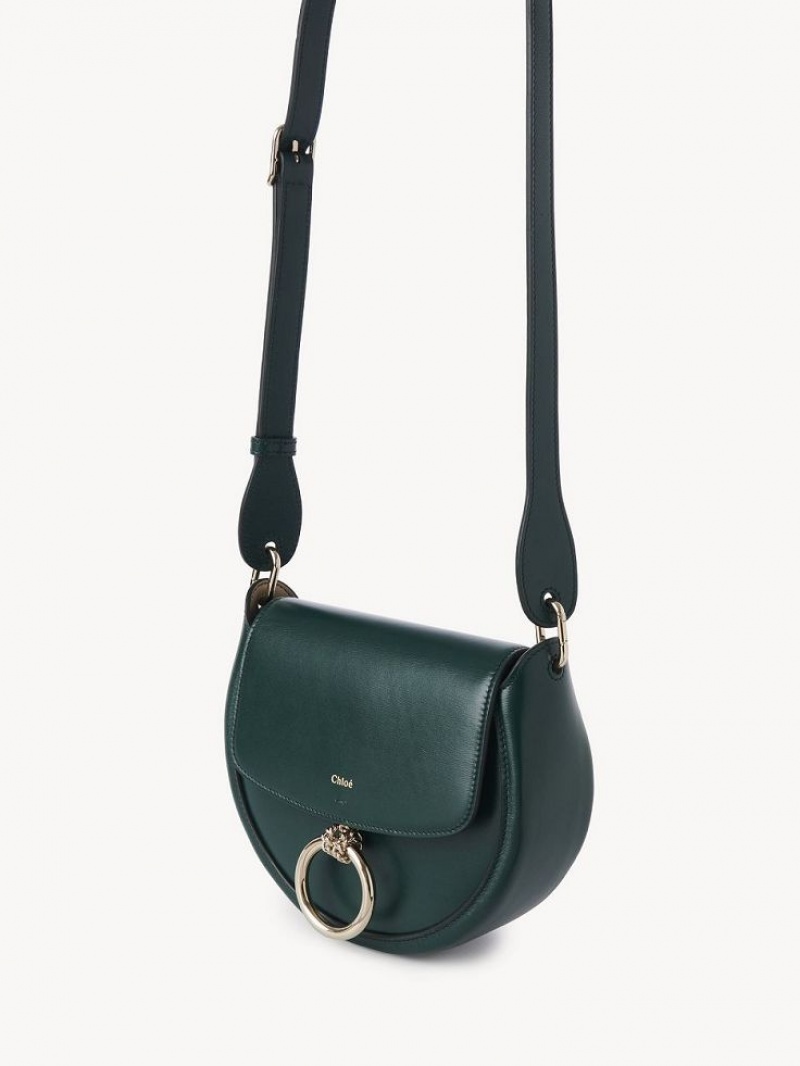 MARBLE GREEN Chloe Arlène Small Crossbody Crossbody Bags | CHE-SR13463