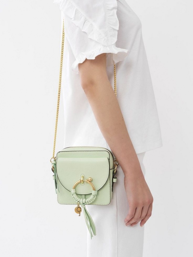 PASTEL GREEN Chloe Joan Camera Shoulder Bags | CHE-SR14677