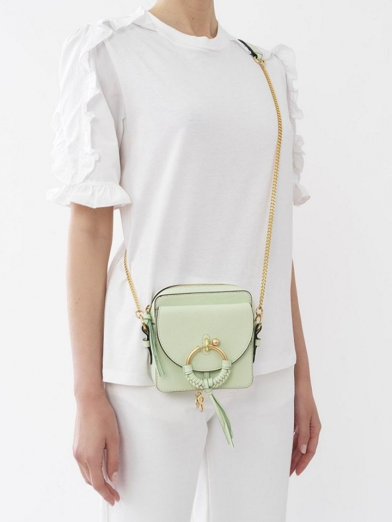 PASTEL GREEN Chloe Joan Camera Shoulder Bags | CHE-SR14677