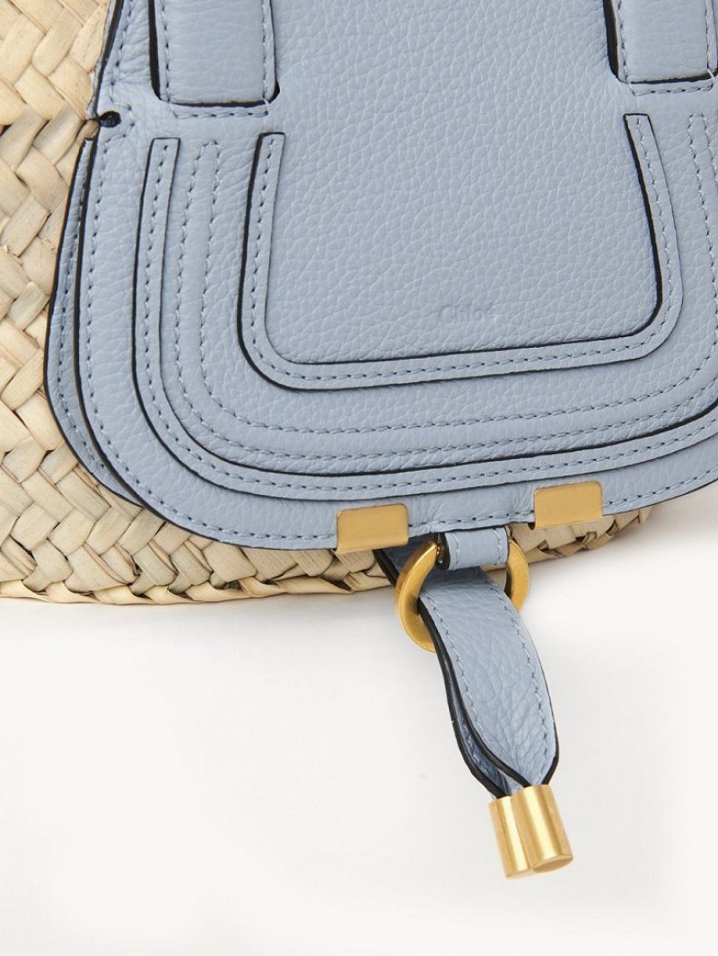 Shady Blue Chloe Marcie Basket Mini Bags | CHE-SR13661