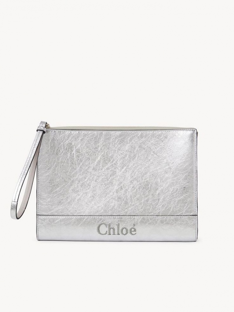 Silver Chloe Sense Zippered Clutches | CHE-SR13745