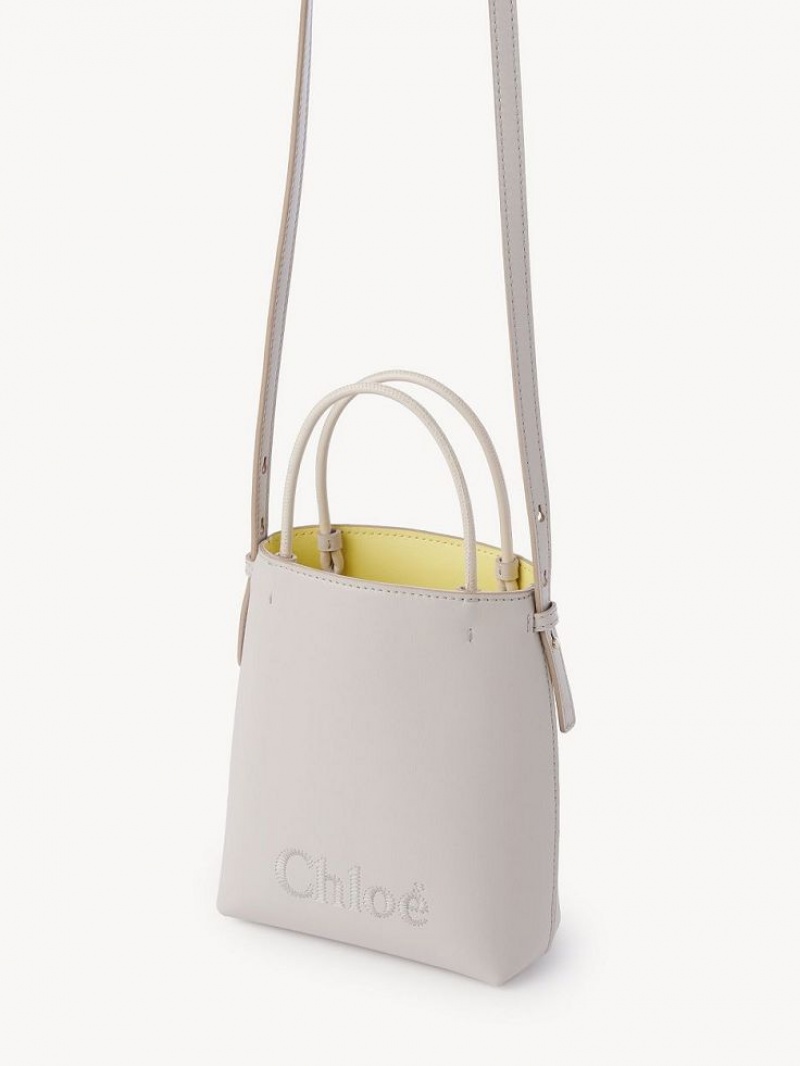 WILD GREY Chloe Sense Micro Crossbody Bags | CHE-SR13581