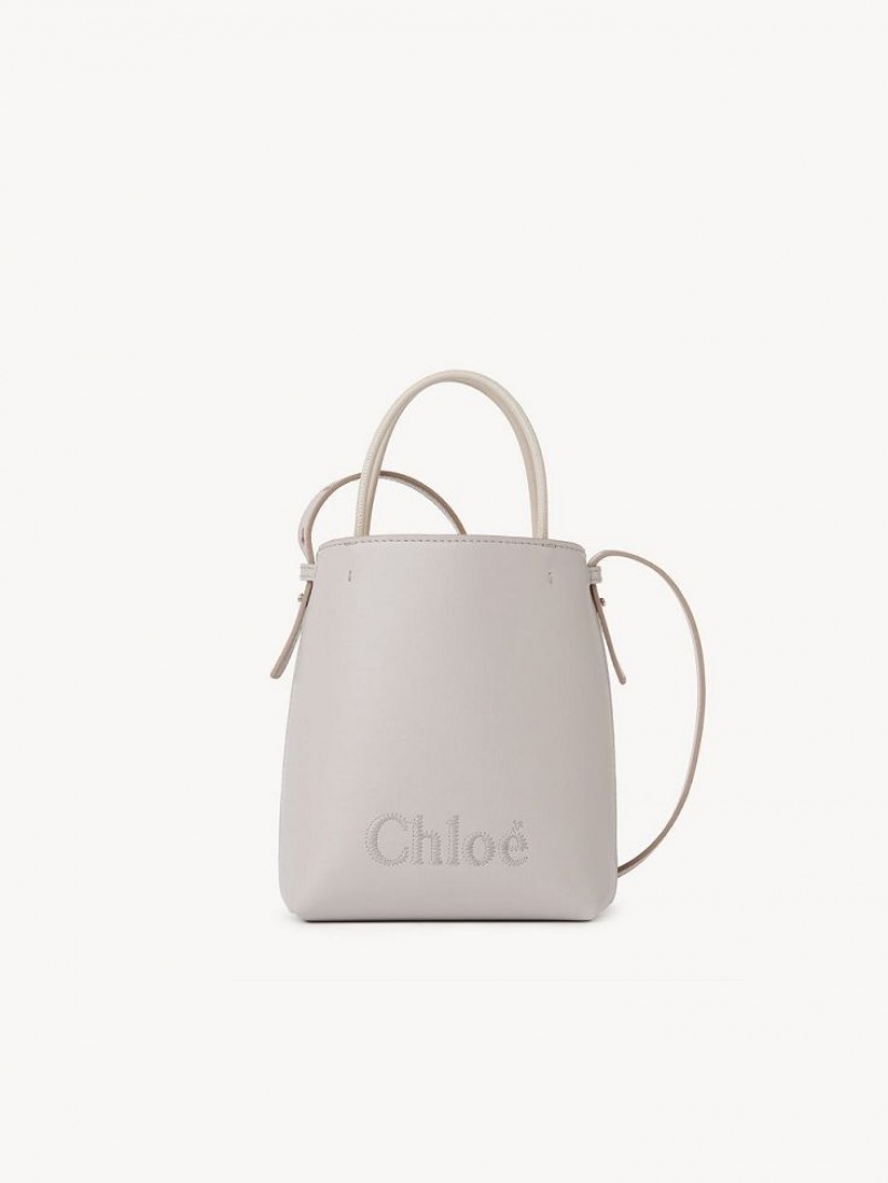 WILD GREY Chloe Sense Micro Crossbody Bags | CHE-SR13581